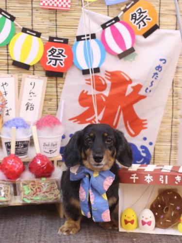 20240721モカちゃん